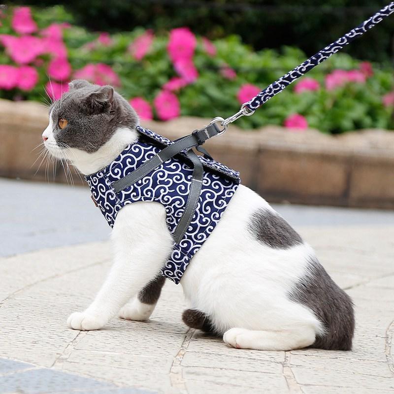 Cat Vest Harness and Leash Set