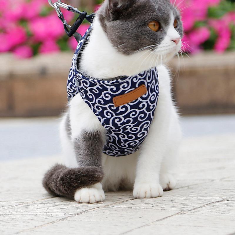 Cat Vest Harness and Leash Set